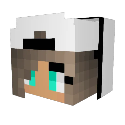 ameliek1233 Minecraft avatar head, 3D render