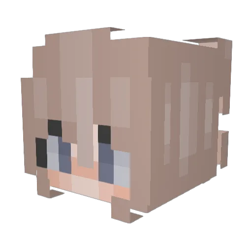amelyalily Minecraft avatar head, 3D render