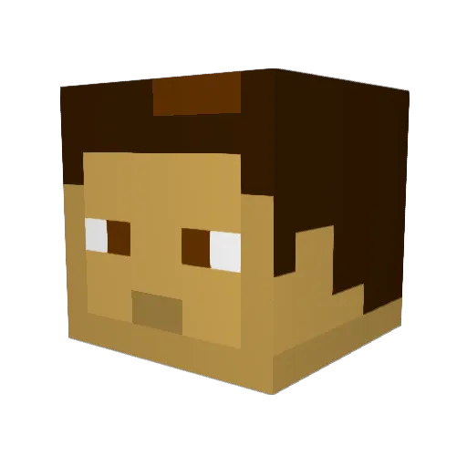 amerfl Minecraft avatar head, 3D render