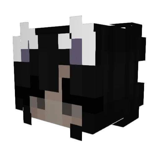 amerikan0 Minecraft avatar head, 3D render