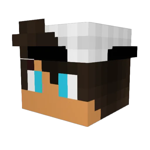 amervitz Minecraft avatar head, 3D render