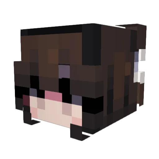 amerycat Minecraft avatar head, 3D render