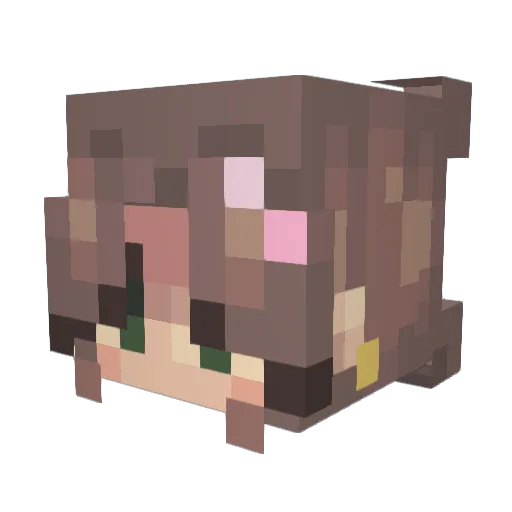 ames0 Minecraft avatar head, 3D render