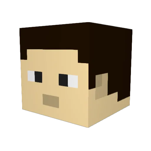 ameslm Minecraft avatar head, 3D render