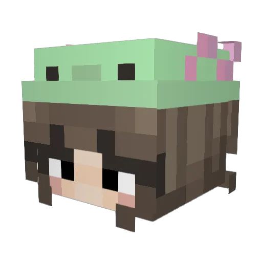 amethysage Minecraft avatar head, 3D render