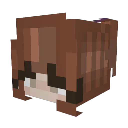 ami_bego Minecraft avatar head, 3D render