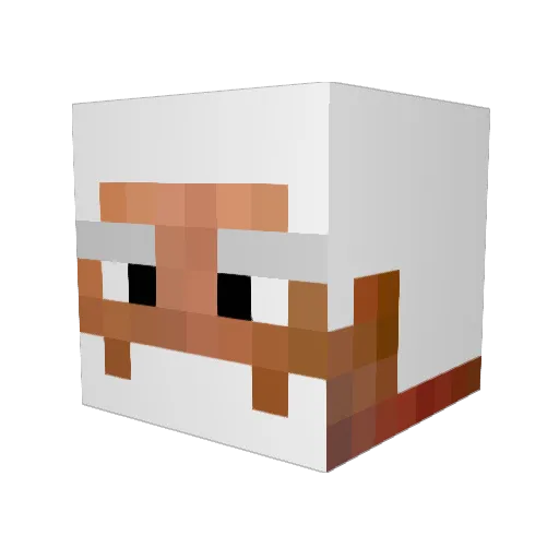 amiaboyorgirl Minecraft avatar head, 3D render