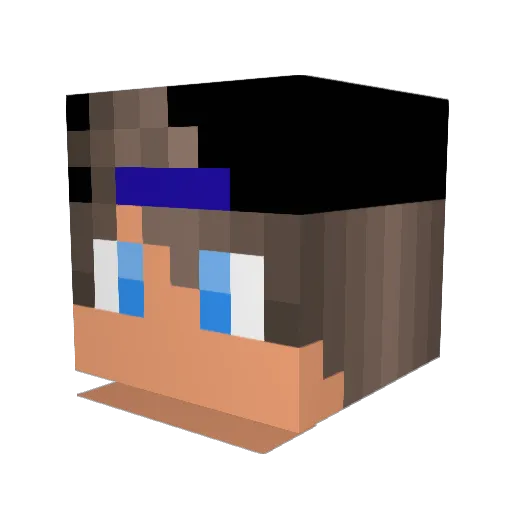 amiboy222 Minecraft avatar head, 3D render