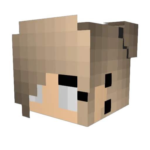 amidiot Minecraft avatar head, 3D render