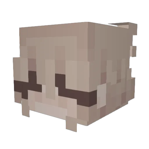 amieamie Minecraft avatar head, 3D render