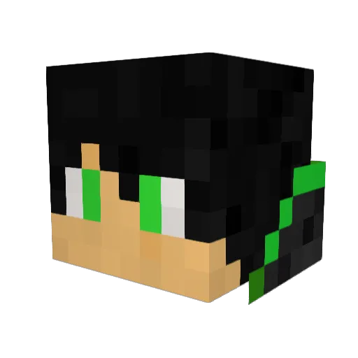 amigos_gamer Minecraft avatar head, 3D render