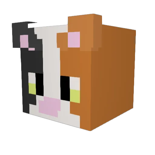 amim1r Minecraft avatar head, 3D render