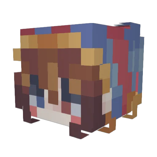 aminatic_ Minecraft avatar head, 3D render