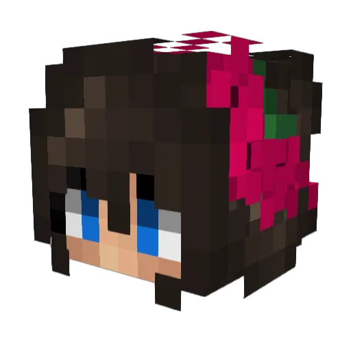 amincho Minecraft avatar head, 3D render