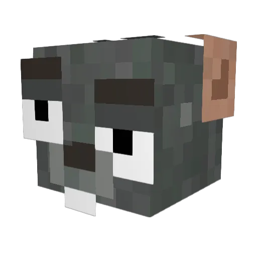 amir8988_ali Minecraft avatar head, 3D render