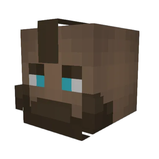 amit6466 Minecraft avatar head, 3D render