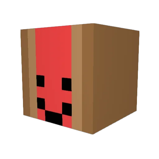 amitnuts Minecraft avatar head, 3D render