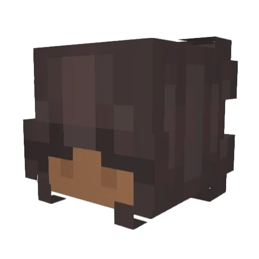 amiyabk Minecraft avatar head, 3D render