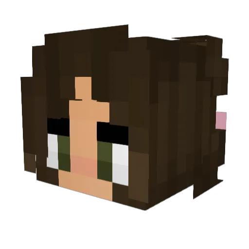 amm3_ Minecraft avatar head, 3D render