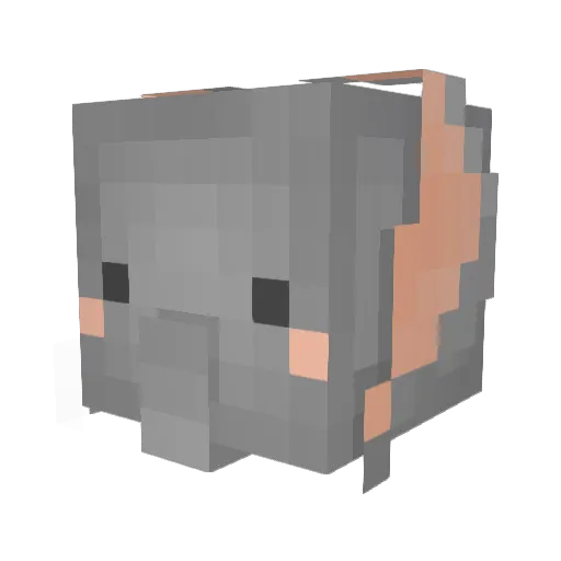 ammamm333 Minecraft avatar head, 3D render