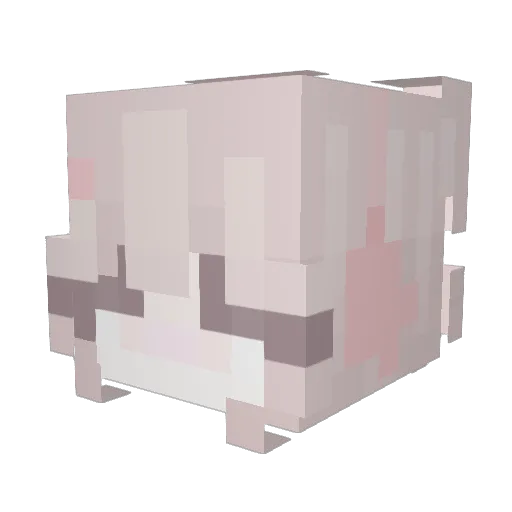 ammmgel Minecraft avatar head, 3D render