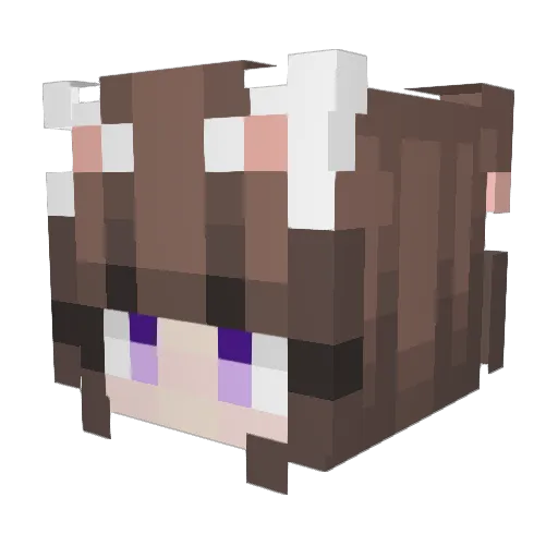 amnesia5141 Minecraft avatar head, 3D render