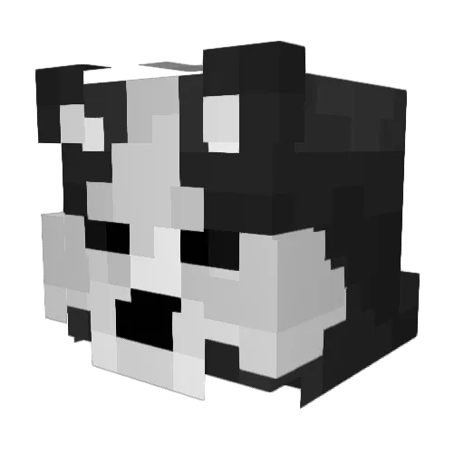 amnesicx Minecraft avatar head, 3D render