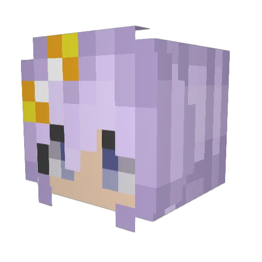 amnesiiafps Minecraft avatar head, 3D render
