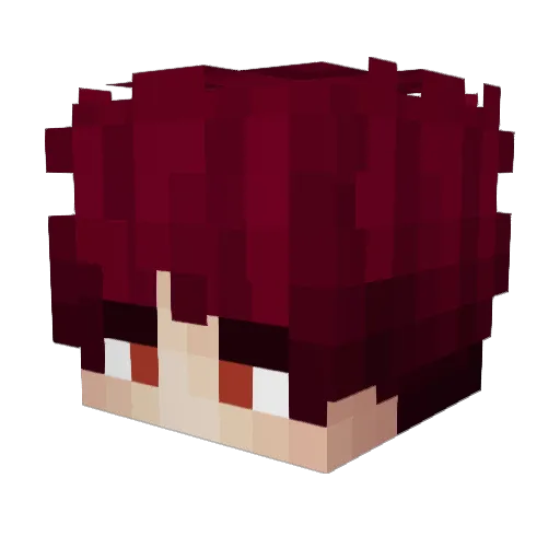 amnyamchik Minecraft avatar head, 3D render