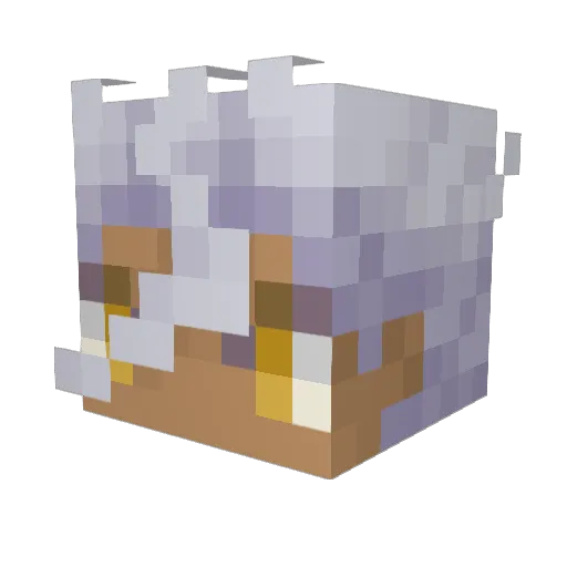 amo8 Minecraft avatar head, 3D render