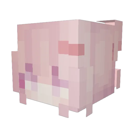 amocat6 Minecraft avatar head, 3D render