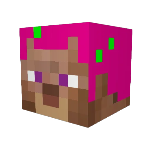 amoeba241 Minecraft avatar head, 3D render