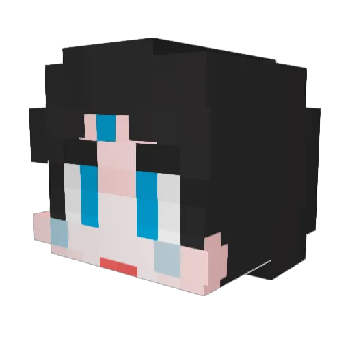 amogoona Minecraft avatar head, 3D render