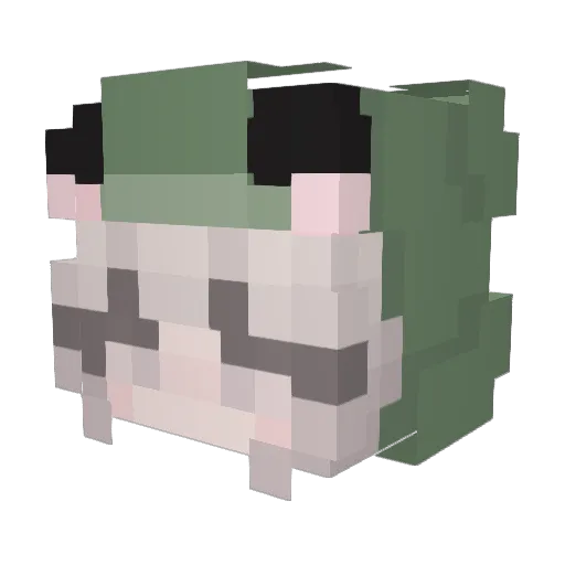 amogus5320 Minecraft avatar head, 3D render