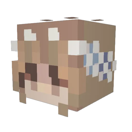 amoiderer Minecraft avatar head, 3D render