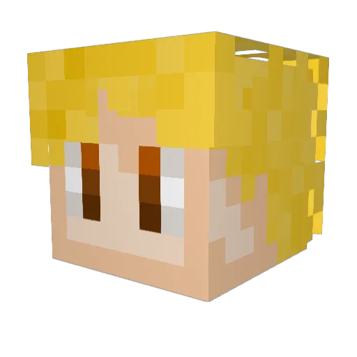 amongminecraftro Minecraft avatar head, 3D render