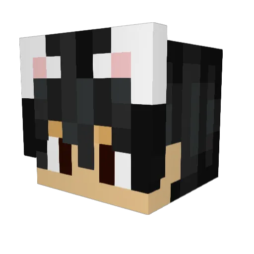 amongusfreak Minecraft avatar head, 3D render