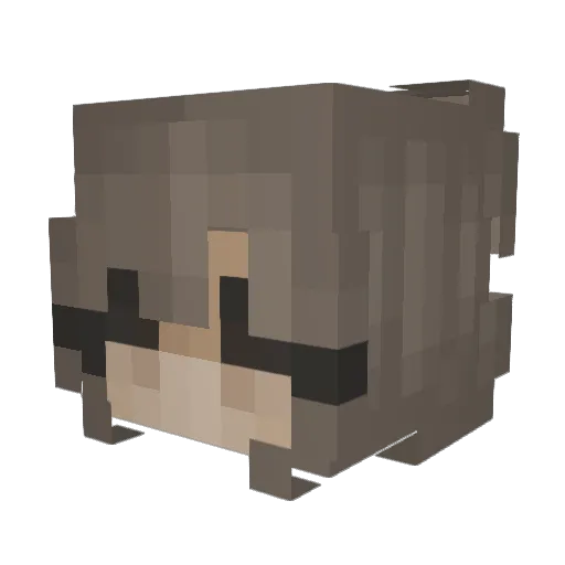 amongusrizz2023 Minecraft avatar head, 3D render
