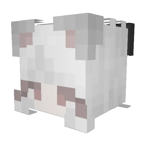 amoonuh Minecraft avatar head, 3D render