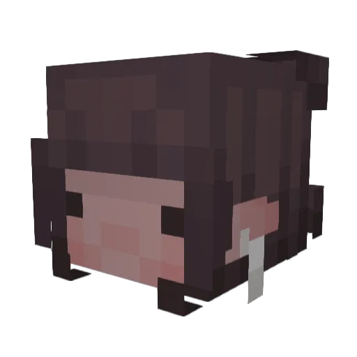 amoosyy Minecraft avatar head, 3D render