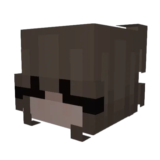 amorettos Minecraft avatar head, 3D render