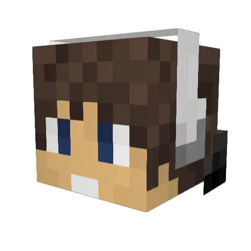 ams003 Minecraft avatar head, 3D render