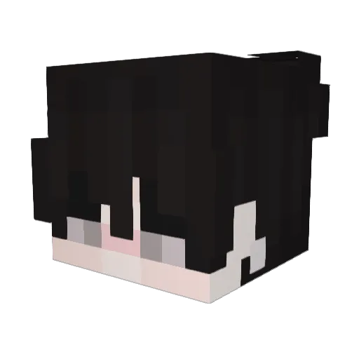 ams_ Minecraft avatar head, 3D render