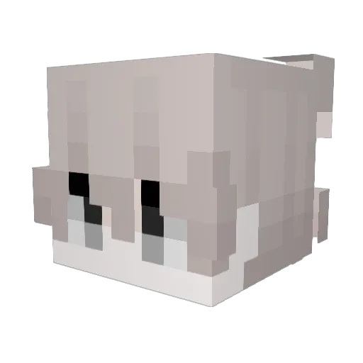 amu_oO Minecraft avatar head, 3D render