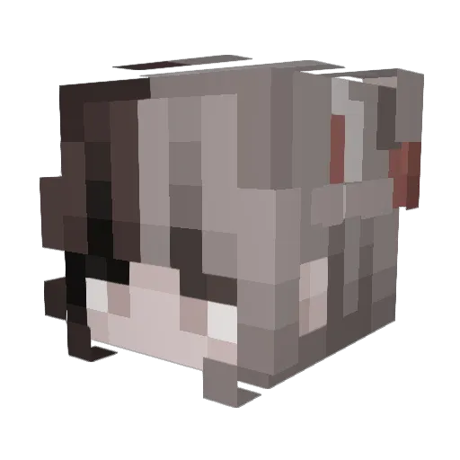 amucix Minecraft avatar head, 3D render