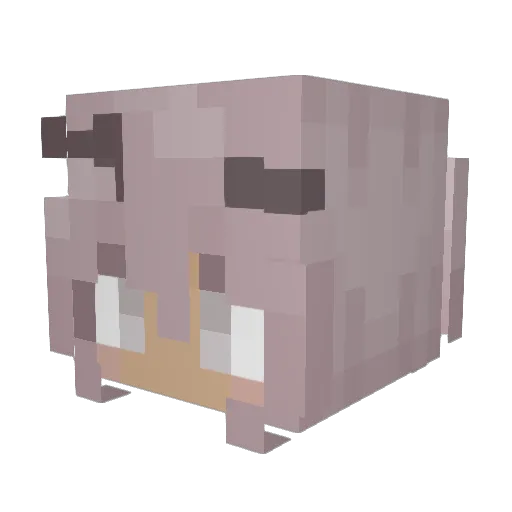 amuletum416 Minecraft avatar head, 3D render