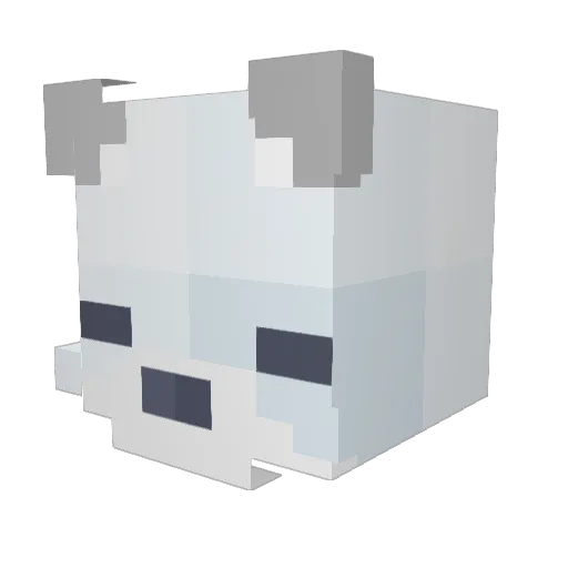 amutantorphan Minecraft avatar head, 3D render