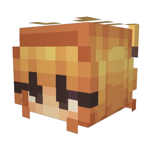 amxnqaa Minecraft avatar head, 3D render