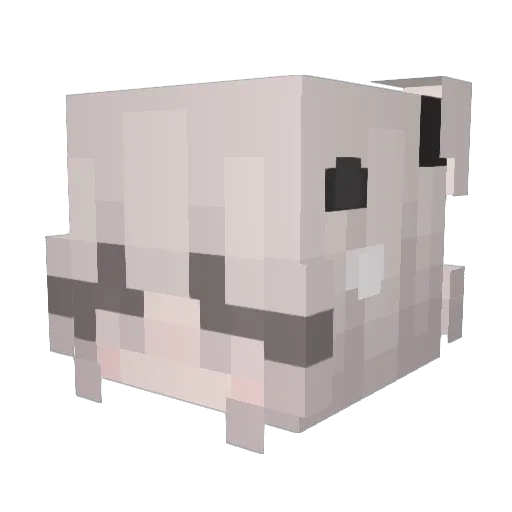 amxrax Minecraft avatar head, 3D render
