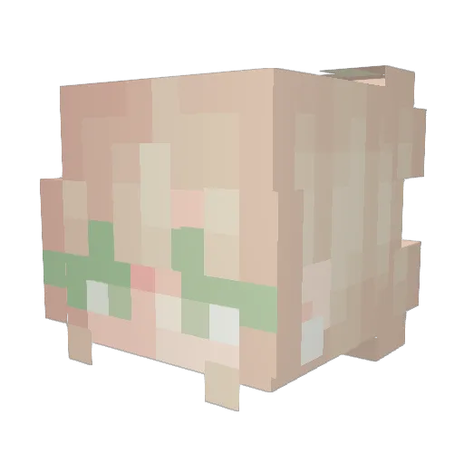 amy0 Minecraft avatar head, 3D render